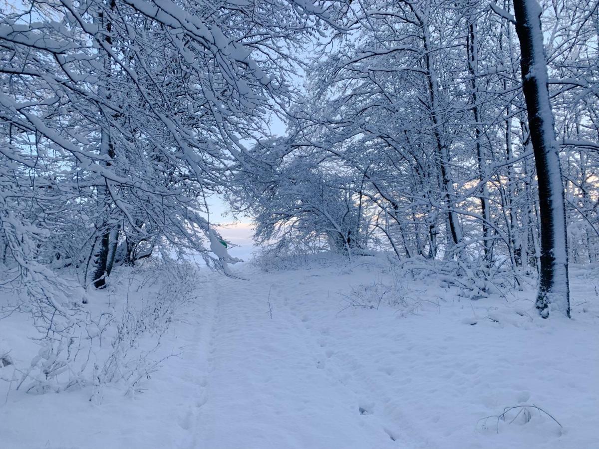 Ferienwohnung Inmitten Der Natur Mit Sauna Steinau an der Straße エクステリア 写真